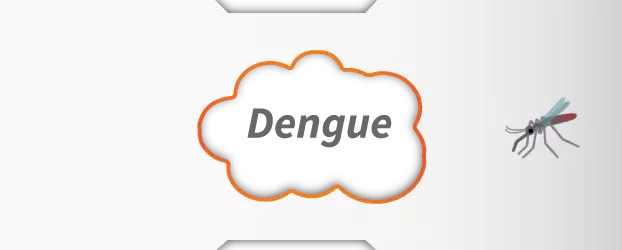 Distribuição produtos prevenção a dengue