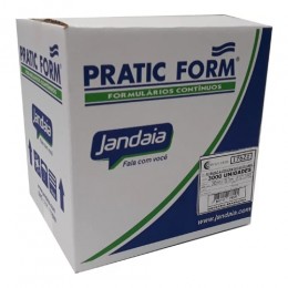 Formulário Razão 2 Vias Autocopiativo - Jandaia